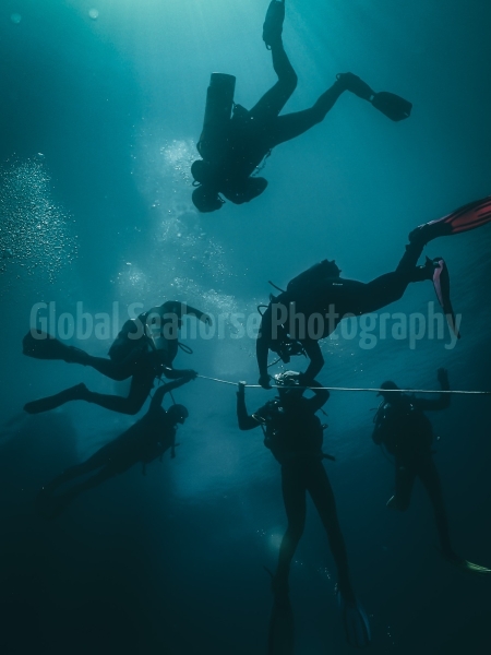 Unknown wreck dive