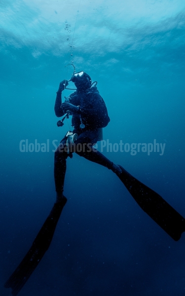 Dive guide in Tofu, Mozambique