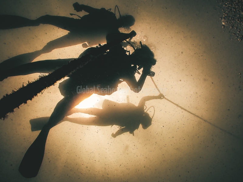 Unknown wreck dive - Diani, Kenya